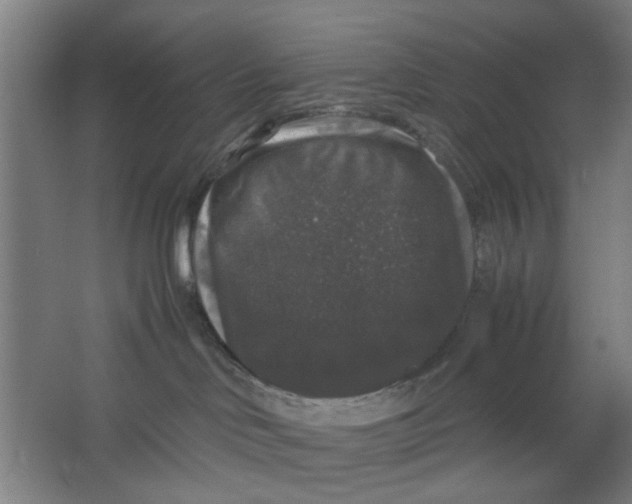 X0000063440046200602101634