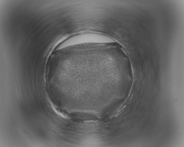 X0000063440050200602101633