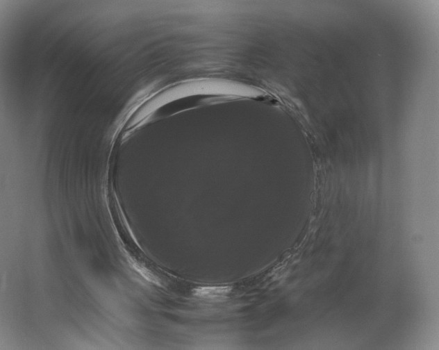 X0000063440051200602101633