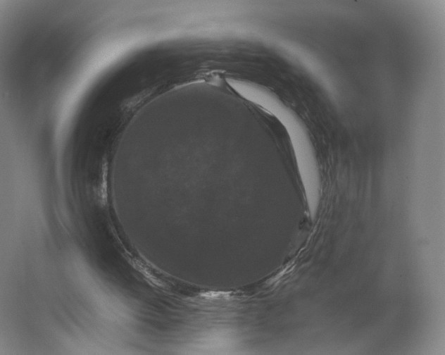 X0000063440052200602101633