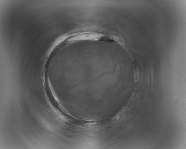 X0000063440054200602101633