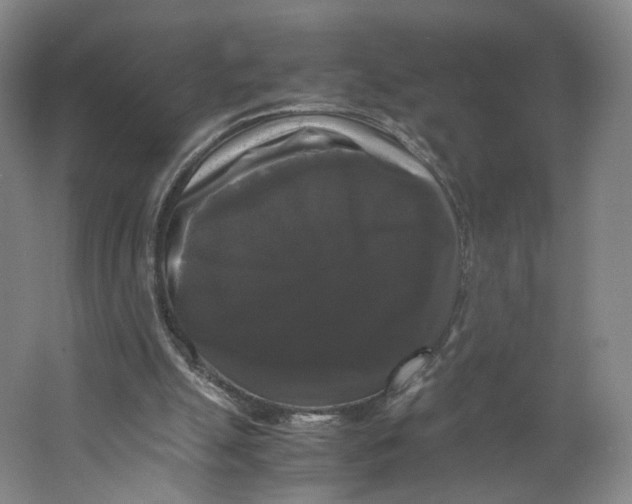 X0000063440055200602101633