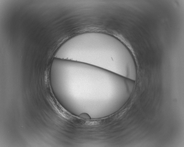 X0000063440057200602101633