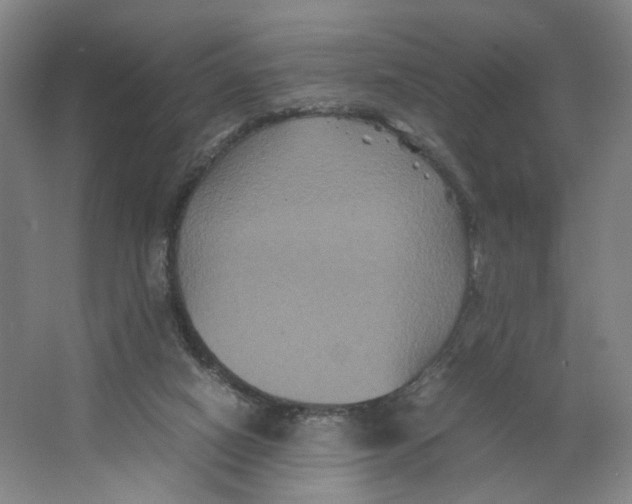 X0000063440066200602101633