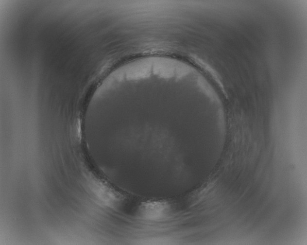 X0000063440067200602101633