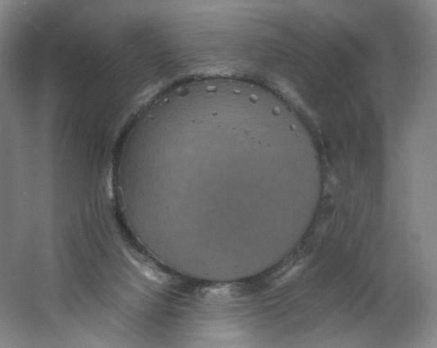 X0000063440068200602101633