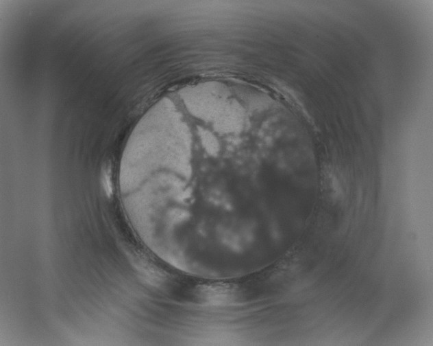 X0000063440069200602101633