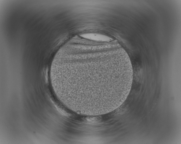 X0000063440070200602101633