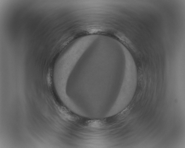 X0000063440074200602101633