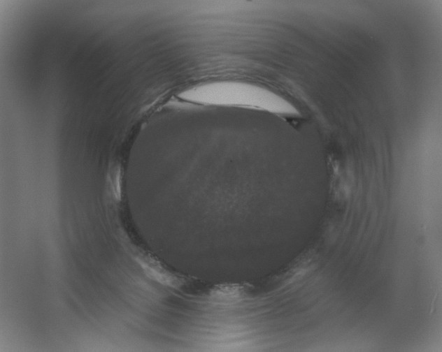 X0000063440076200602101633