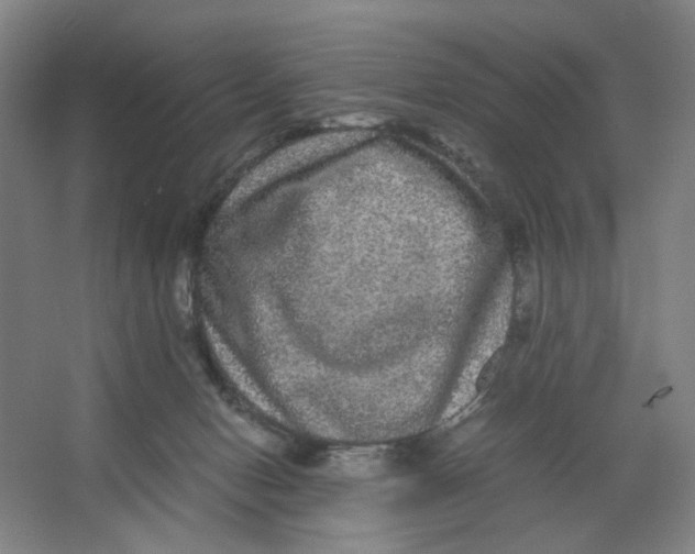X0000063440078200602101633