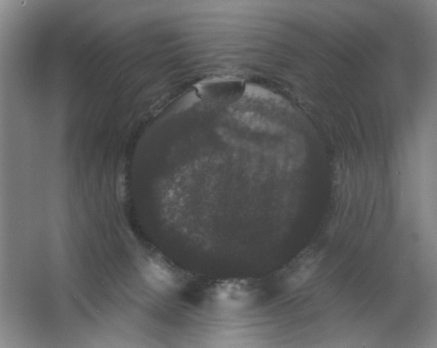 X0000063440080200602101633