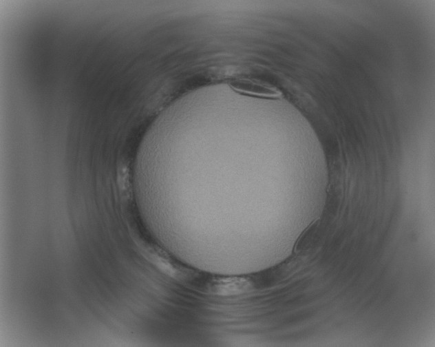 X0000063440087200602101633