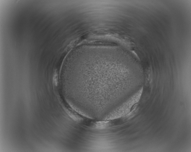 X0000063440090200602101633