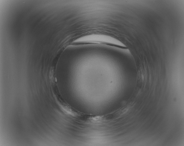X0000063440092200602101633