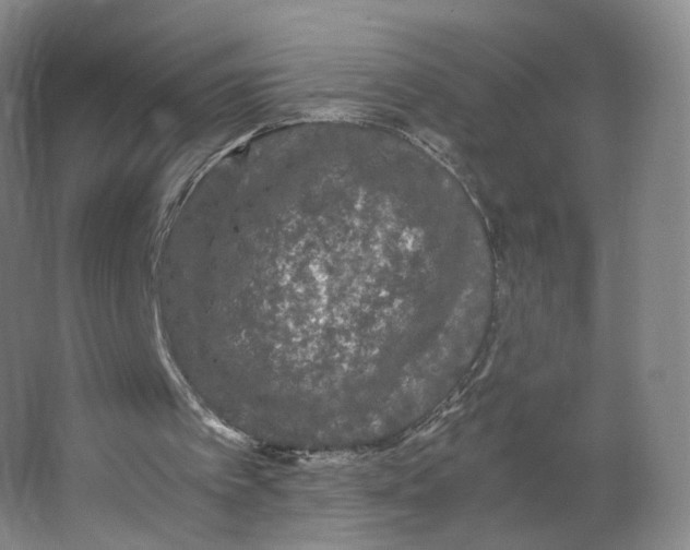 X0000063440097200602101633
