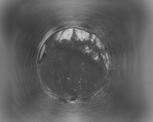 X0000063440099200602101633