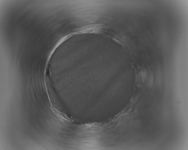 X0000063440100200602101633