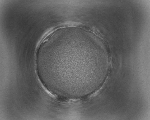 X0000063440101200602101633