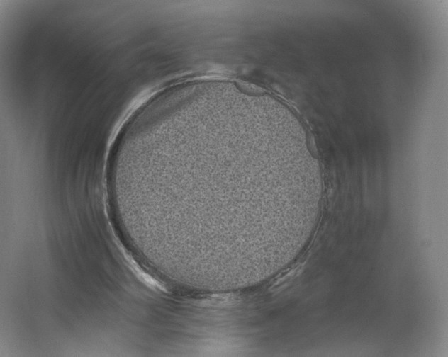 X0000063440102200602101633