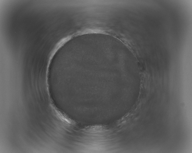 X0000063440104200602101633