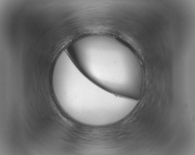 X0000063440105200602101633