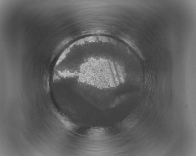 X0000063440110200602101632