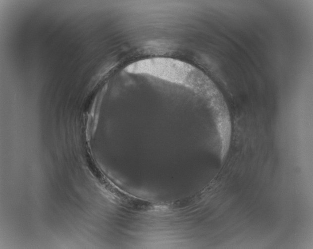 X0000063440114200602101632