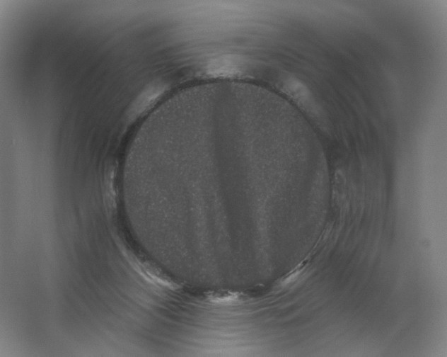 X0000063440116200602101632