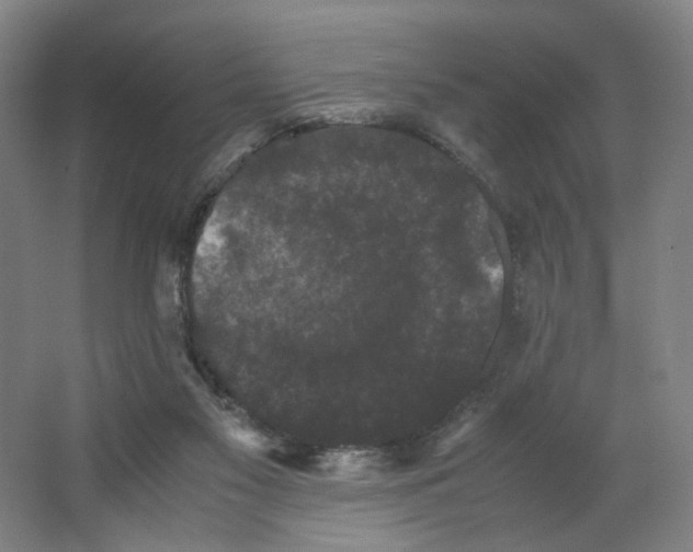 X0000063440117200602101632