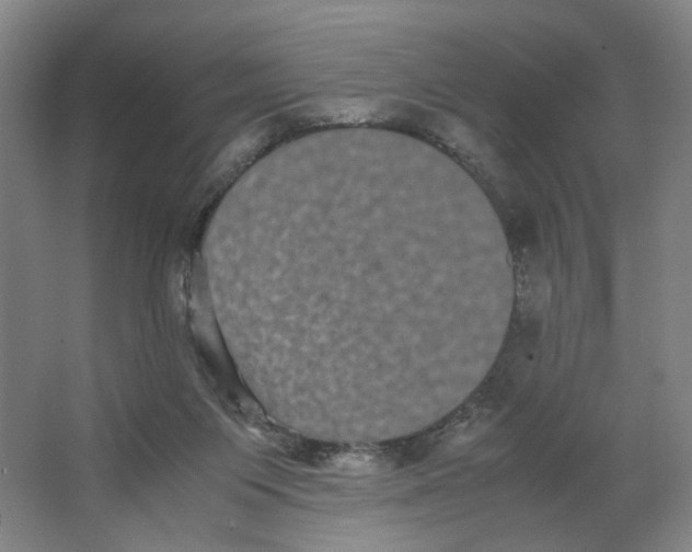X0000063440119200602101632