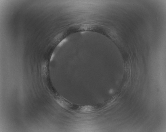 X0000063440127200602101632