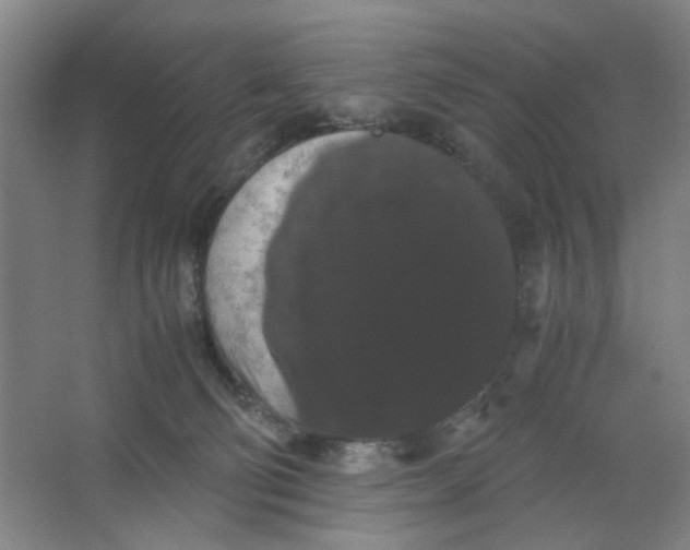 X0000063440130200602101632