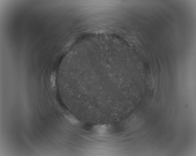 X0000063440131200602101632