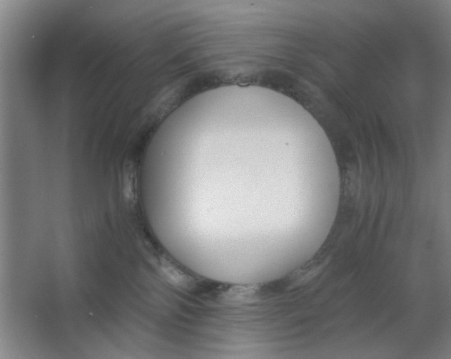 X0000063440138200602101632