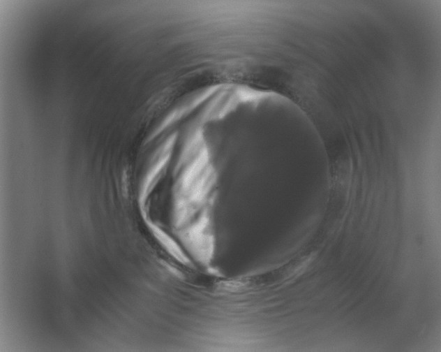 X0000063440139200602101632