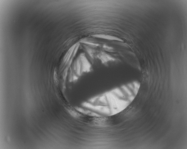 X0000063440143200602101632