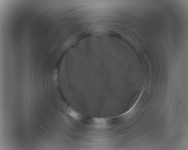 X0000063440144200602101632