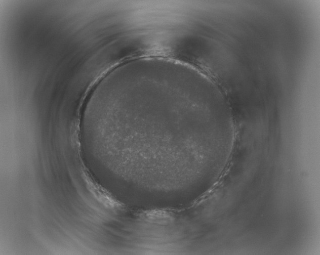 X0000063440146200602101631