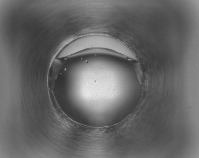 X0000063440148200602101631