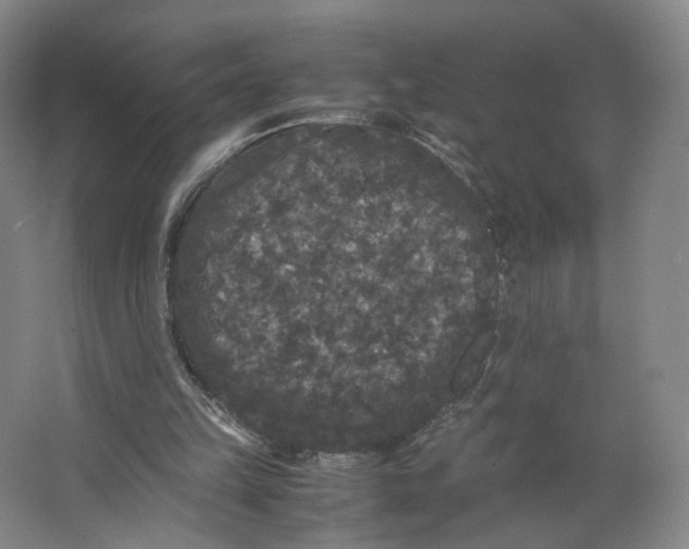 X0000063440149200602101631