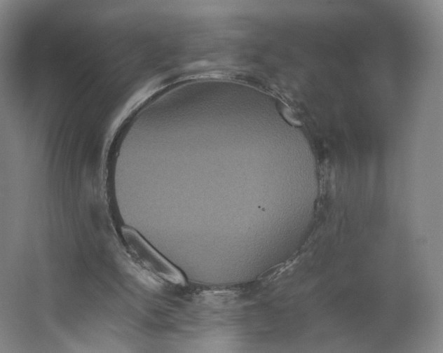 X0000063440150200602101631