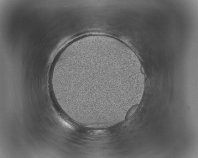X0000063440151200602101631