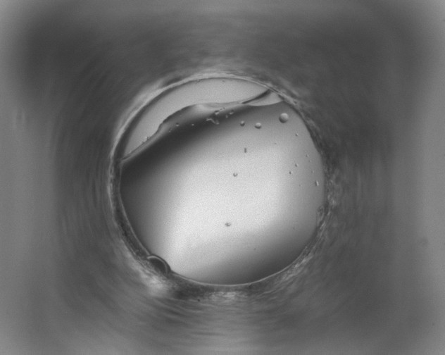 X0000063440152200602101631