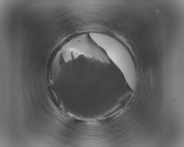 X0000063440154200602101631