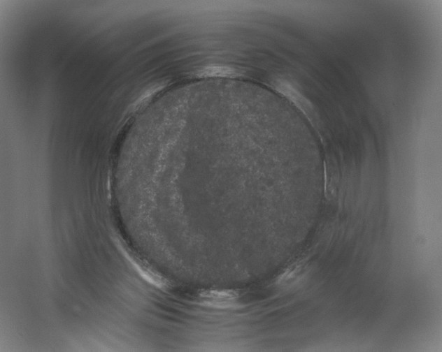 X0000063440157200602101631
