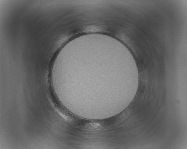 X0000063440159200602101631
