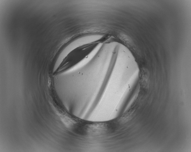 X0000063440164200602101631