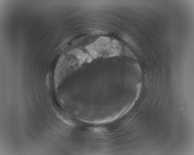 X0000063440165200602101631