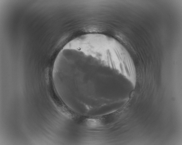 X0000063440167200602101631